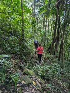 Eine Frau, die durch den Wald geht in der Unterkunft Gallene Gala Nature Resort in Kitulgala