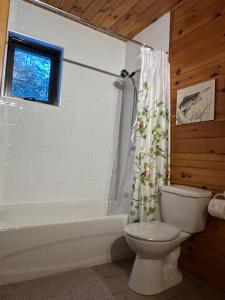 a bathroom with a toilet and a tub and a shower curtain at Waterfront Chalet Serendipity Hideaway - Cachette Sérendipité - Swim SUPs BBQ Relax w Wifi in Chertsey