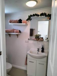 een badkamer met een wastafel, een toilet en een spiegel bij Beautiful 1 bedroom cottage on 1 acre in Sandford