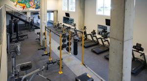 un gimnasio con varias filas de máquinas para correr en CozySuites Stunning 3BR in Downtown Cincinnati, en Cincinnati