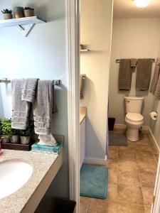 a bathroom with a sink and a toilet and towels at WOW-New Ski OnOff Suite By Pool Sleeps 4 Jiminy Pk in Hancock