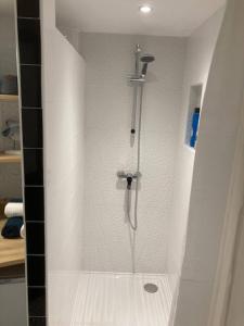 La salle de bains est pourvue d'une douche avec un pommeau de douche. dans l'établissement Appartement Saint-Sauveur, à Perpignan