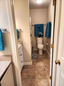 1st Floor Mountain View Suite Ski On Off At Jiminy- Fully Redone Decor في هانكوك: حمام صغير مع مرحاض ومناشف زرقاء +23 صورة