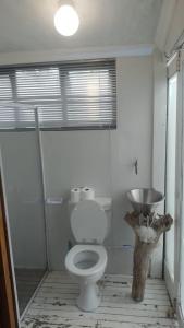 a bathroom with a toilet and a sink at Blue Lagoon Cottage in Umngazana