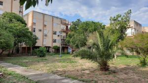 eine Palme vor einem Gebäude in der Unterkunft Departamento amplio y equipado en Santiago del Estero in Santiago del Estero