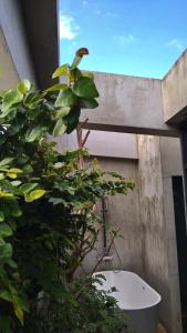 Zahrada ubytování 隱室x迷路 Hermit Inn Hengchun + 18 fotografií