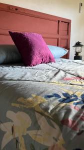 a bed with a red headboard and a purple pillow at Donde Polo Hostal in Suchitoto