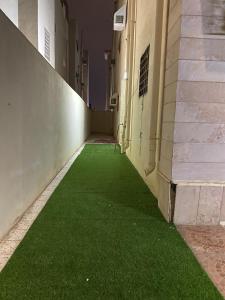 a hallway with green grass on the side of a building at العلم نور2 in Sīdī Ḩamzah