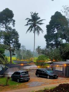 two cars parked in a parking lot with a palm tree at Tanah Merah Glamping Village (TMGV) in Kuala Kangsar