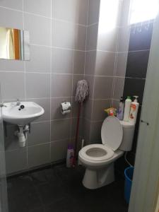 a bathroom with a toilet and a sink at CY Homestay in Kampar