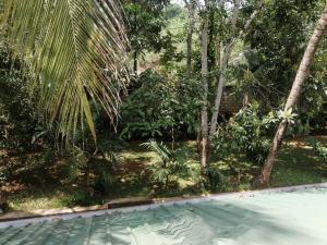 an empty swimming pool in a garden with trees at Geeth Lanka River Resort in Matale