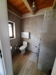 a bathroom with a white toilet and a shower at Domki Nad Potokiem in Rytro