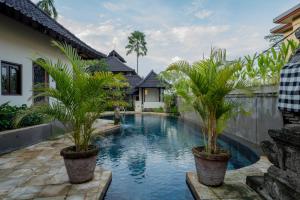 a swimming pool with two palm trees in front of a house at Oma Ubud in Ubud