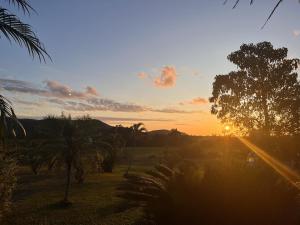 a sunset over a field with palm trees and the sun at Le Big Bus in Nessadiou