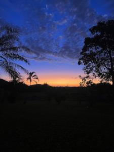 een zonsondergang met een palmboom in een veld bij Le Big Bus 
