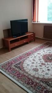 a living room with a flat screen tv and a rug at Зона Отдыха Тихий Залив in Topar