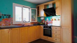 a kitchen with wooden cabinets and a stove top oven at Villa Bettina 2nd floor in Afionas