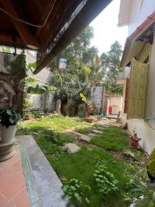 une cour avec de l'herbe et des plantes dans une maison dans l'établissement The Memory villa, à Mộc Châu