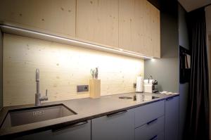 a kitchen with a sink and a counter top at WOLF Apartments Padaun in Vals