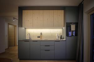 Kuchyň nebo kuchyňský kout v ubytování WOLF Apartments Padaun