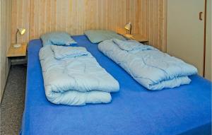 HejlsにあるBeautiful Home In Hejls With Saunaの青い毛布の上にベッド2台が備わる客室です。