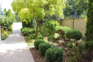 Zahrada ubytování Mini Chisinau Hotel