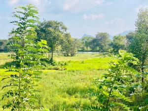 Paesaggio naturale nelle vicinanze dell'affittacamere