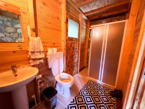 ein Bad mit einem WC, einem Waschbecken und einer Dusche in der Unterkunft Aynştayn Chalet in İznik