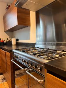 een keuken met een roestvrijstalen fornuis top oven bij LOU PANTAI in Levens