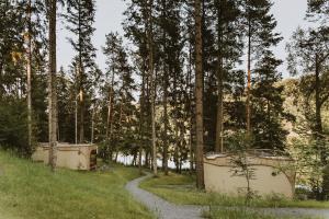 polna droga przez las z drzewami w obiekcie Falkensteiner Premium Camping Lake Blagus w mieście Sveti Jurij ob Ščavnici