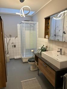 La salle de bains est pourvue d'un lavabo, de toilettes et d'un miroir. dans l'établissement Gemütliche Ferienwohnung im Gutshaus Groß Upahl, 