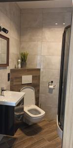 un bagno con un water e un lavandino di Orkiszówka a Szczawnica
