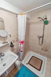 La petite salle de bains est pourvue d'une douche et d'un lavabo. dans l'établissement Chalet spacieux et pittoresque, à Leytron