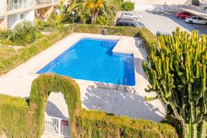 Fotografie z fotogalerie ubytování Albir Playa v destinaci Alfaz del Pi