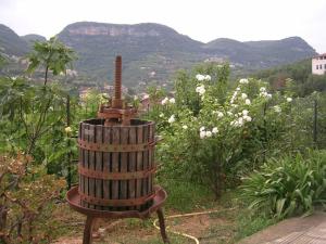 a large wooden barrel sitting on top of a lush green hillside at B&B Al Riparo in Finale Ligure