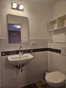 a bathroom with a sink and a toilet at B&B Vouwere in Mechelen