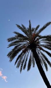 Fotografia z galérie ubytovania Acqua di Mare v destinácii Bordighera