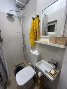 a bathroom with a toilet and a sink and a mirror at Nest in Sajmište