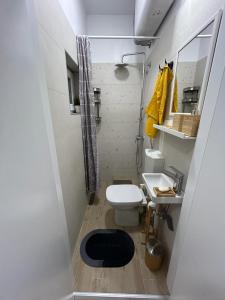 Nest في Sajmište: حمام صغير مع مرحاض ومغسلة