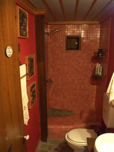 y baño con ducha y aseo. en Lila Traditional House, en Kipoi