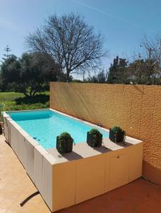 a swimming pool with two potted plants on a patio at Villa Nice Mallorca in Palma de Mallorca