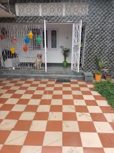 un perro sentado frente a una casa con suelo a cuadros en Suryalaxmi guest house, en Guwahati