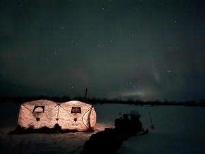 uma iguana iluminada no escuro à noite em Aurora Tent Camp em Karasjok