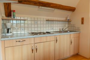 una cocina con fregadero y encimera en Winzerhof Strablegg, en Großklein
