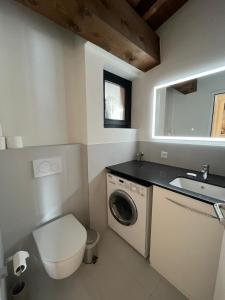 ブリッサーゴにあるCasa Malpensata App 6363のバスルーム(洗面台、洗濯機付)