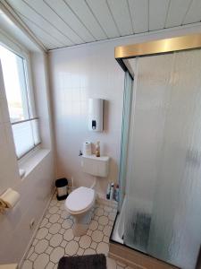 ein Bad mit einem WC und einer Dusche in der Unterkunft Steinwarder 9 - Haus "Seeschwalbe" ST9 028 Steinwarder 9 in Heiligenhafen