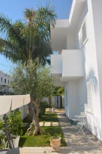 トッレ・サンタ・サビーナにあるVilla Elisabettaのヤシの木が隣接する白い建物