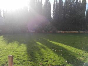 a field with the sun shining through the trees at Casa Tita Carmen in Córdoba