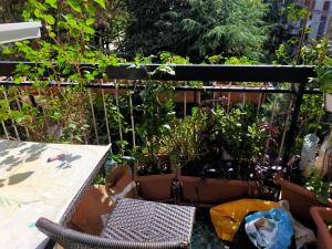 a patio with a table and some plants at Focolare domestico in Milan