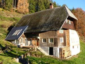 una casa con techo en la cima de una colina en Fewo Titisee im Kaspershäusle 